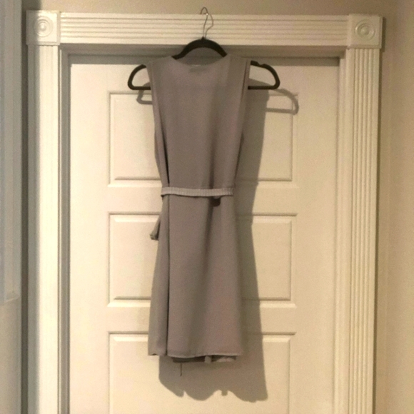 Naked Zebra Dress - Picture 3 of 11